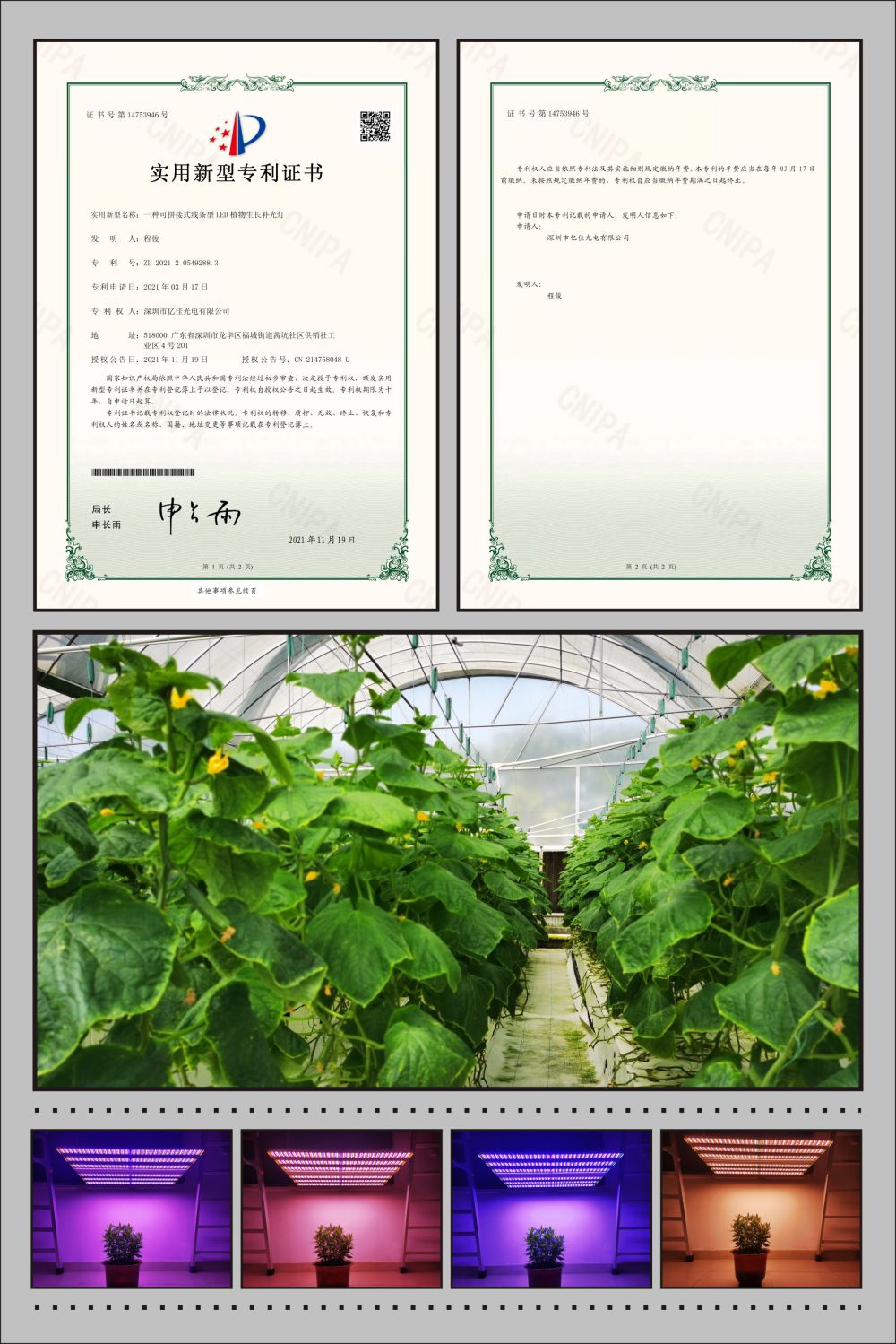 尊龙凯时人生就是搏植物农场灯实用新型专利